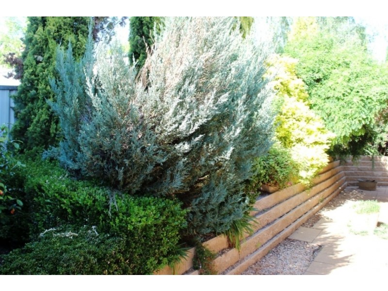 4 Dunoon Place, Abercrombie NSW 2795