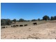 511 Caloolah Road, Bathurst NSW 2795