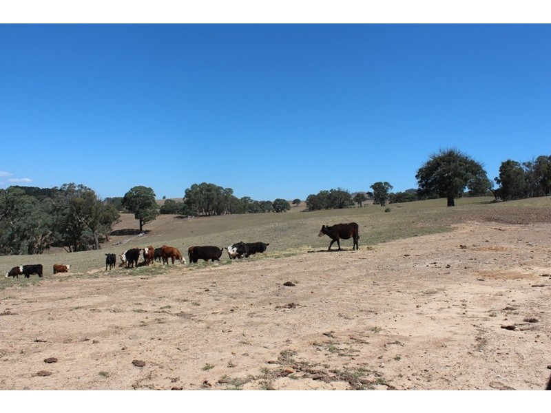 511 Caloolah Road, Bathurst NSW 2795