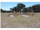 511 Caloolah Road, Bathurst NSW 2795