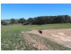 511 Caloolah Road, Newbridge NSW 2795