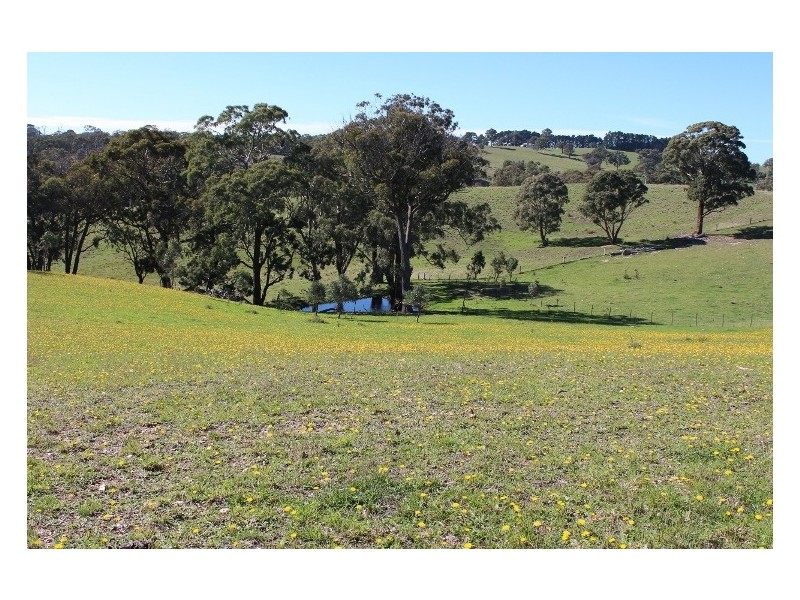 511 Caloolah Road, Newbridge NSW 2795