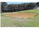 511 Caloolah Road, Newbridge NSW 2795