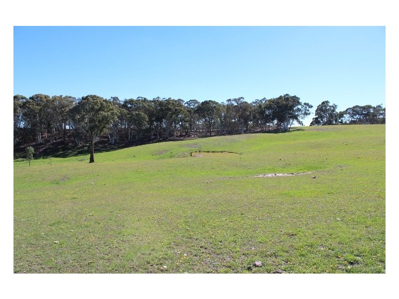 511 Caloolah Road, Newbridge NSW 2795