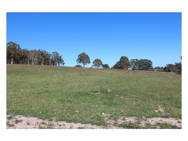 511 Caloolah Road, Newbridge NSW 2795