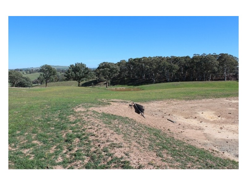 511 Caloolah Road, Newbridge NSW 2795