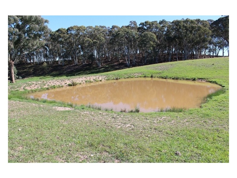 511 Caloolah Road, Newbridge NSW 2795