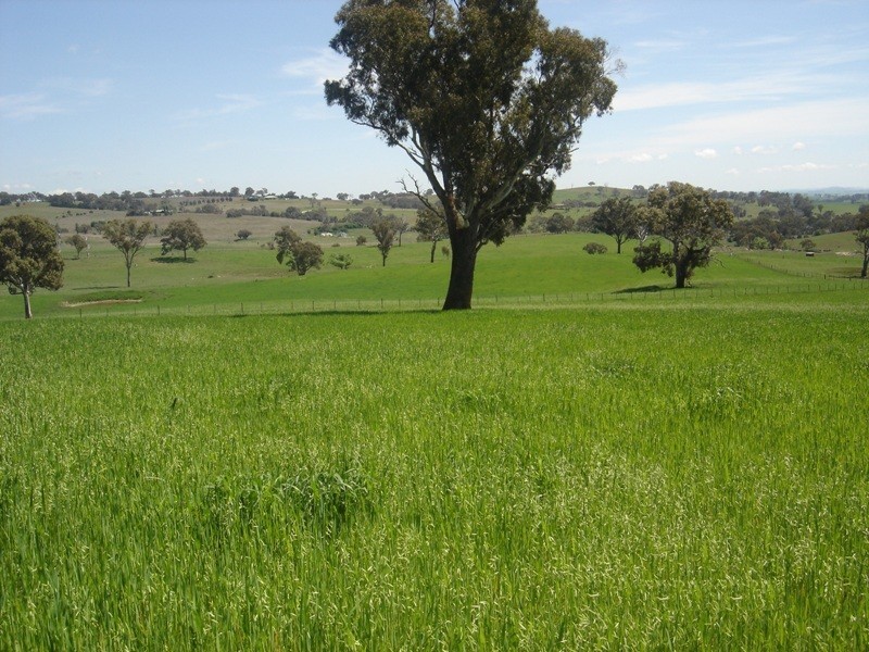 22 Purdons Lane, Bathurst NSW 2795