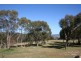 223 Billywillinga Road, Billywillinga NSW 2795