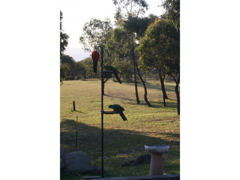 223 Billywillinga Road, Billywillinga NSW 2795