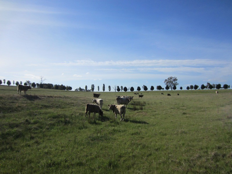 22 Purdons Lane, Bathurst NSW 2795