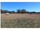 121 Fogharty Lane, Wattle Flat NSW 2795