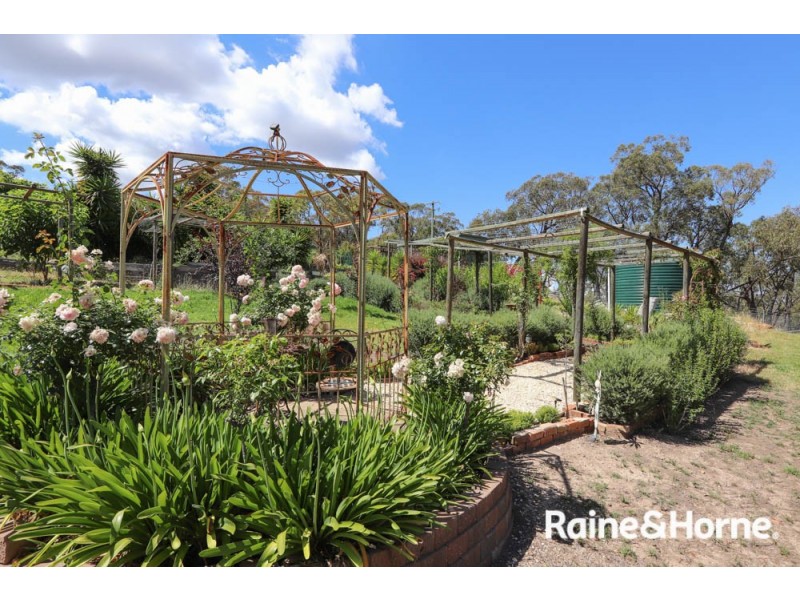 308 Billywillinga Road, Billywillinga NSW 2795