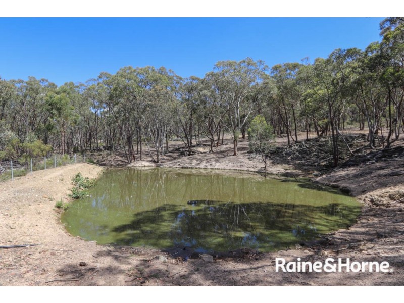 308 Billywillinga Road, Billywillinga NSW 2795