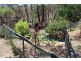101 Walang Drive, Bathurst NSW 2795