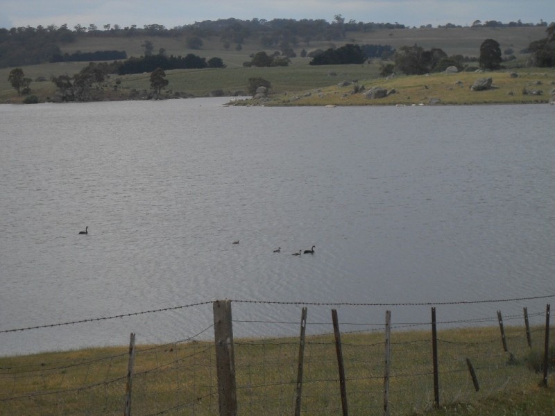 Lot 3 Abercrombie Road, Oberon NSW 2787