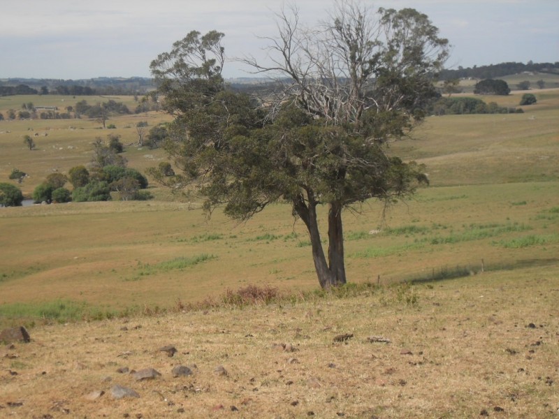 Lot 3 Abercrombie Road, Oberon NSW 2787