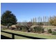 487 Eleven Mile Drive, Bathurst NSW 2795
