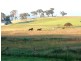55 Fleming Drive, Bathurst NSW 2795