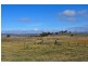 55 Fleming Drive, Bathurst NSW 2795