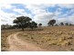1683 Freemantle Road, Bathurst NSW 2795