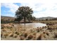 1683 Freemantle Road, Bathurst NSW 2795
