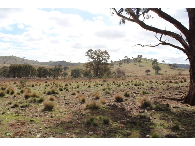 1683 Freemantle Road, Bathurst NSW 2795