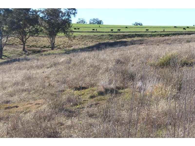 1485 Mid Western Highway, Bathurst NSW 2795