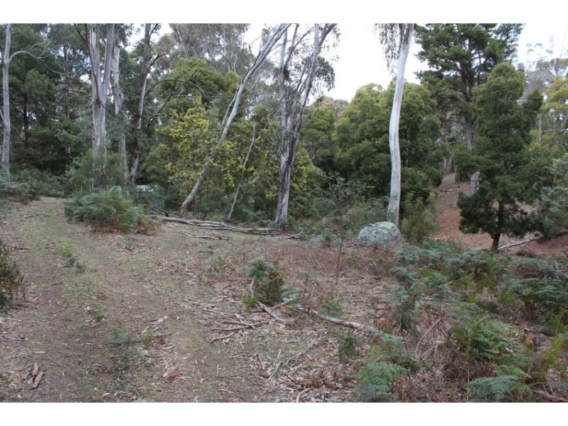 62 Macabees Road, Yetholme NSW 2795