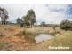 49 Fitzroy Street, Peel NSW 2795