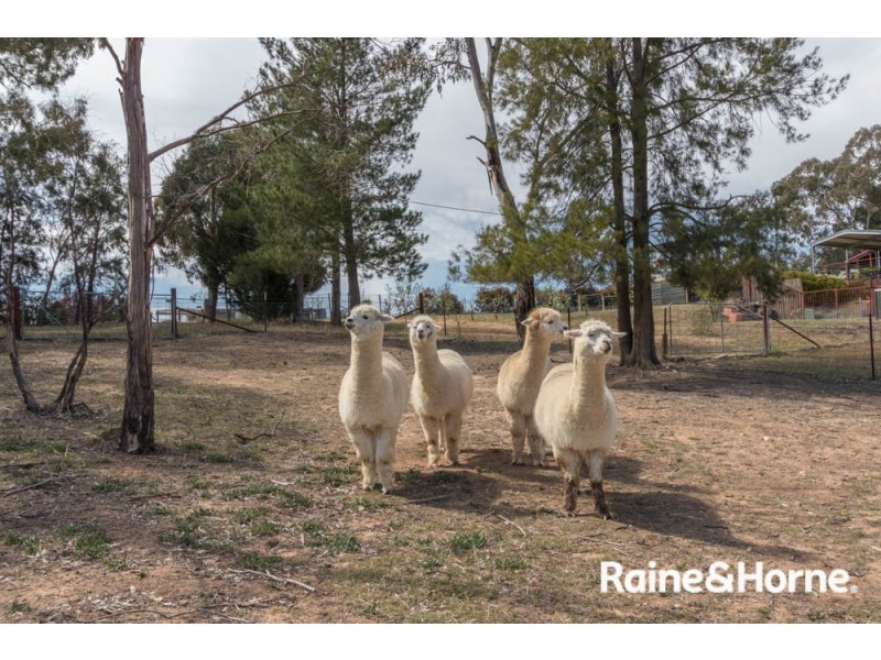 49 Fitzroy Street, Peel NSW 2795