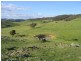 1770 Freemantle Road, Watton NSW 2795