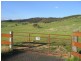 1770 Freemantle Road, Watton NSW 2795