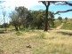 494 Williamsons Road, Bathurst NSW 2795