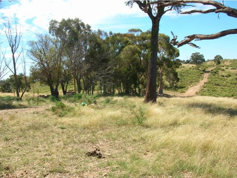 494 Williamsons Road, Bathurst NSW 2795