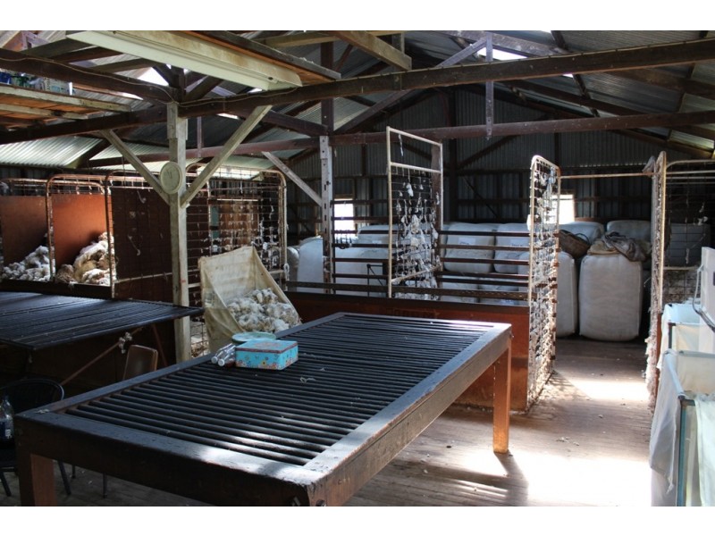 252 Burns Road, Ullamalla NSW 2850