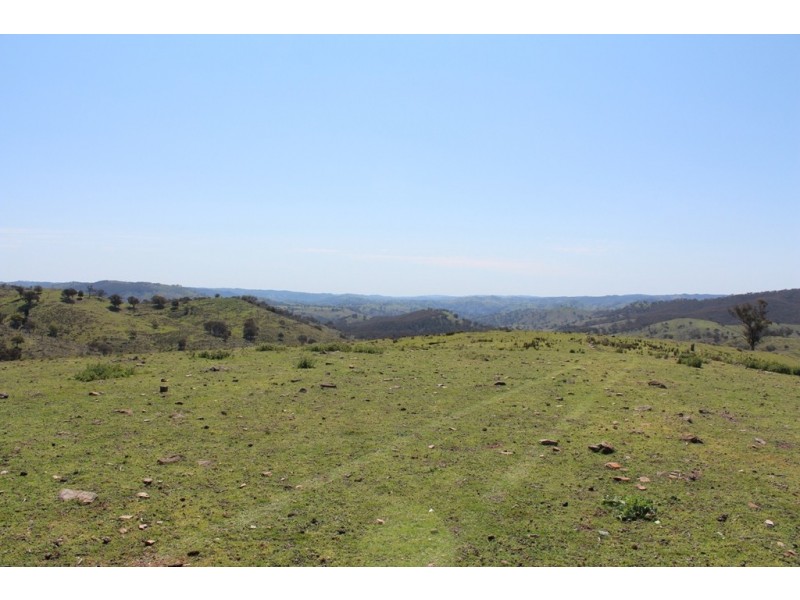 252 Burns Road, Ullamalla NSW 2850