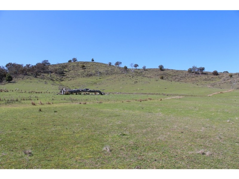 252 Burns Road, Ullamalla NSW 2850