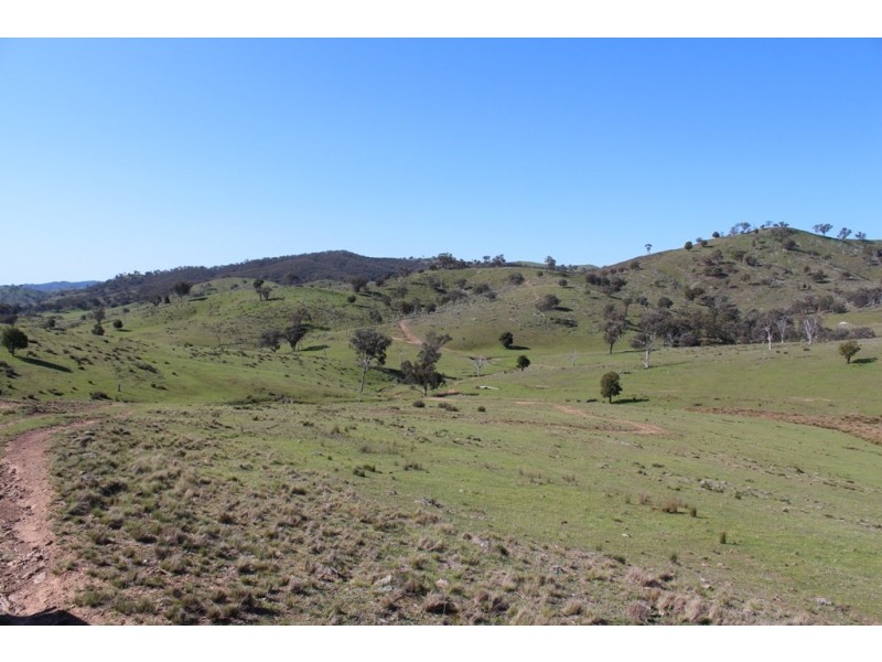 252 Burns Road, Ullamalla NSW 2850
