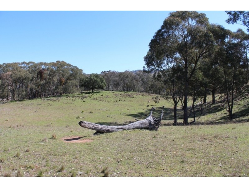 252 Burns Road, Ullamalla NSW 2850