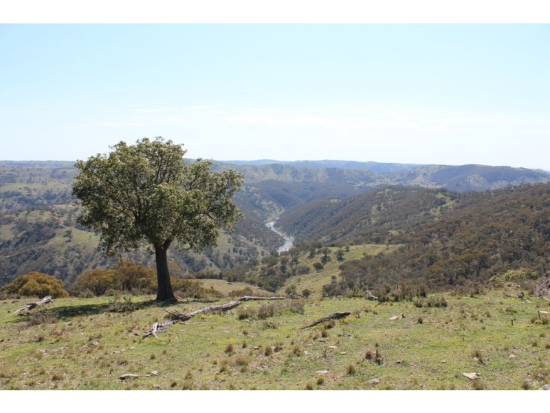 252 Burns Road, Ullamalla NSW 2850