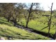 252 Burns Road, Bathurst NSW 2795