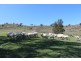 252 Burns Road, Bathurst NSW 2795
