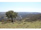 252 Burns Road, Bathurst NSW 2795