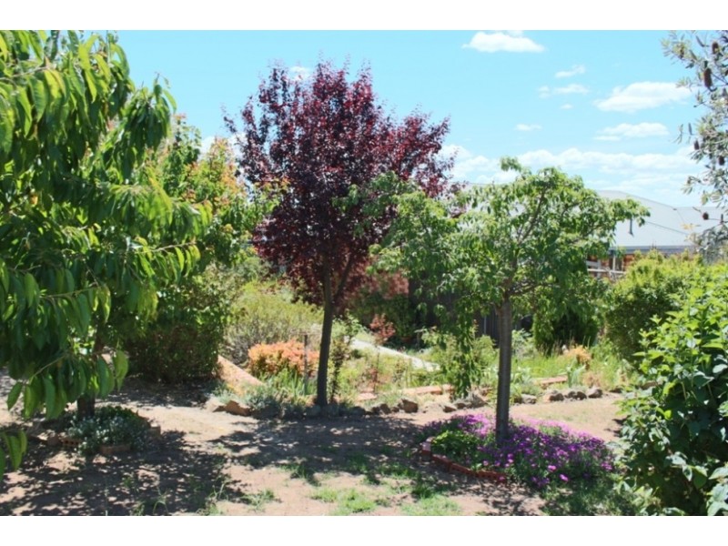 10 Rosemont Avenue, Bathurst NSW 2795