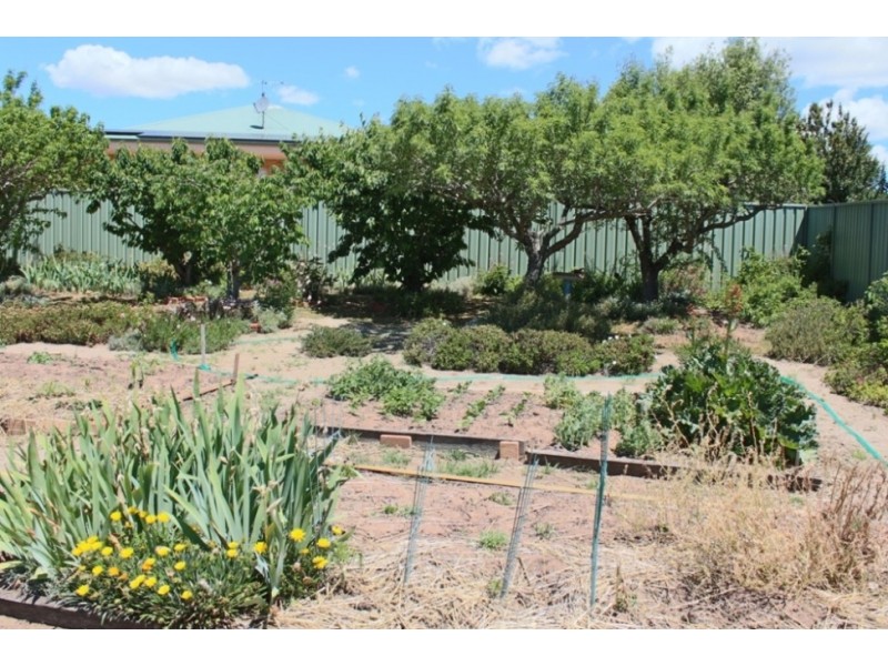 10 Rosemont Avenue, Bathurst NSW 2795