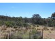 Gowan NSW 2795