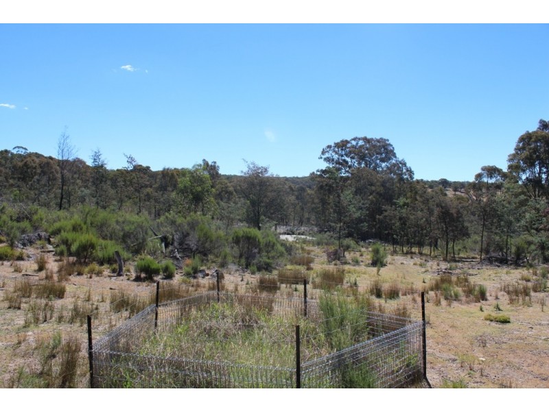 Gowan NSW 2795