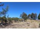 Gowan NSW 2795