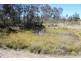 Gowan NSW 2795